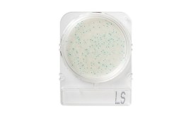 Compact Dry LS - Listeria Spp - 100 Testes